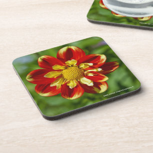 Dahlia en liège dessous de verre