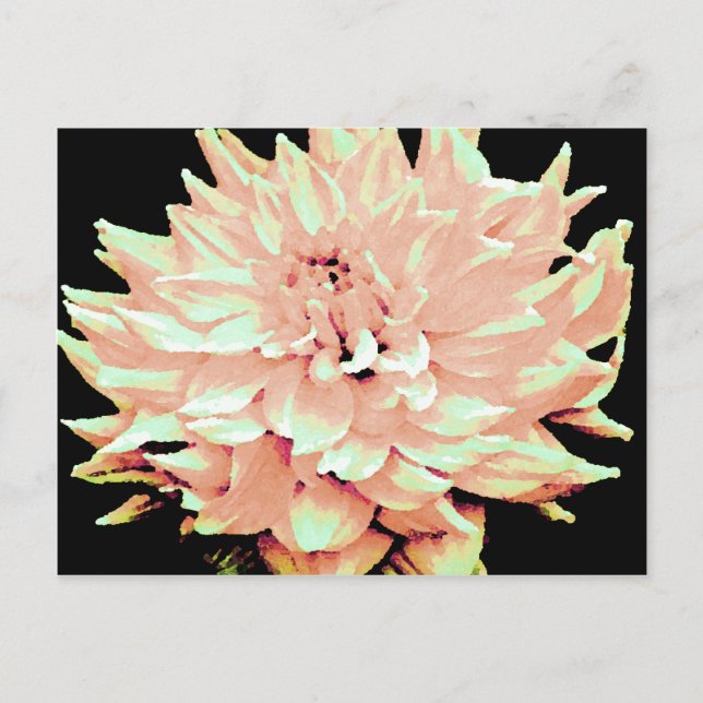 Dahlia - Flitterwochen - Pfirsich mit hellblütigem Postkarte (Vorderseite)