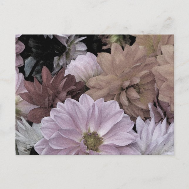 Dahlia Garden Blume Florenz Abstrakte Postkarte (Vorderseite)
