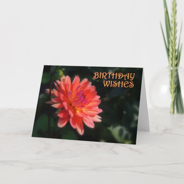 Dahlia Geburtstag 1 Karte (Vorderseite)