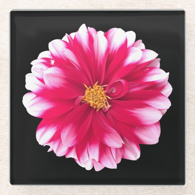 Dahlia Glasuntersetzer (Vorderseite)