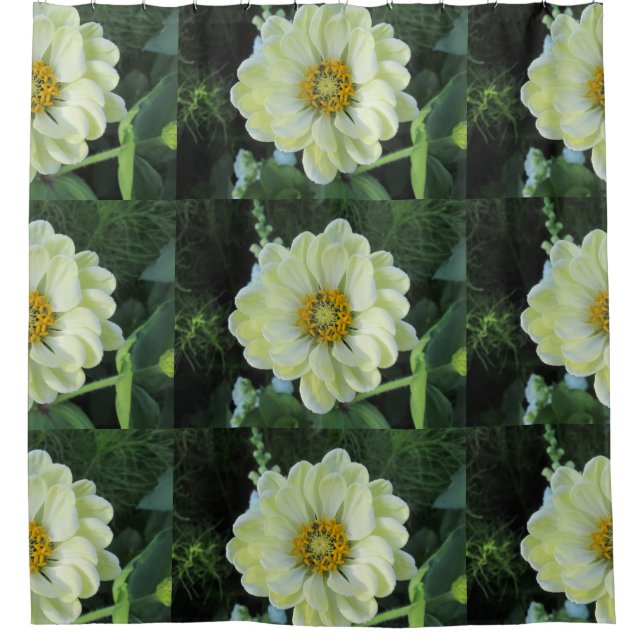 Dahlia Hellgelbe Blume Duschvorhang (Vorderseite)