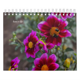 Dahlia Kalender