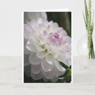 Dahlia-Karte Karte