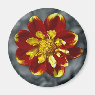Dahlia Magnet