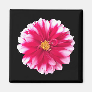 Dahlia Magnet
