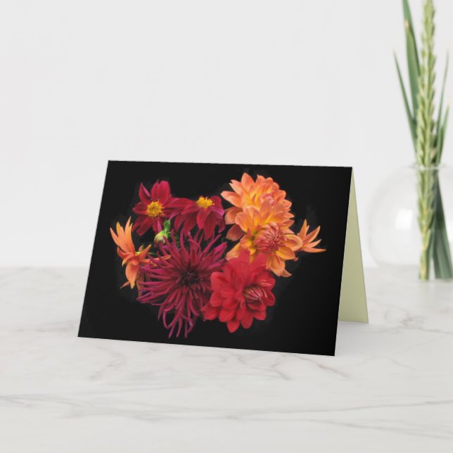 Dahlia Merci (Devant)