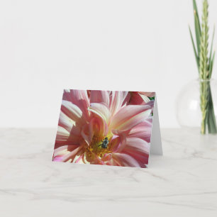 Dahlia mit Biene Karte