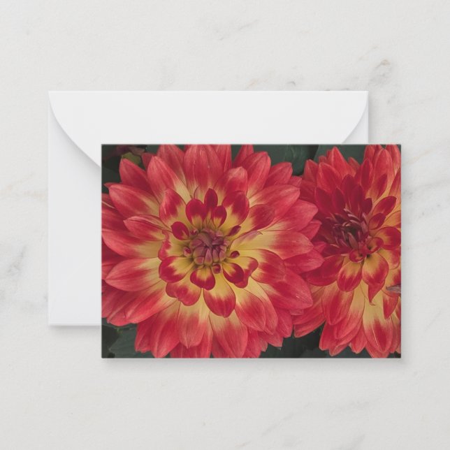 Dahlia Mitteilungskarte (Vorderseite)