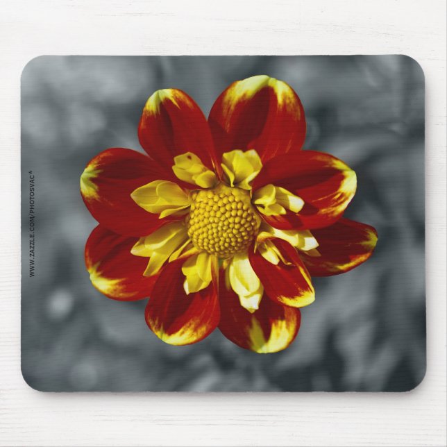 Dahlia Mousepad (Vorne)