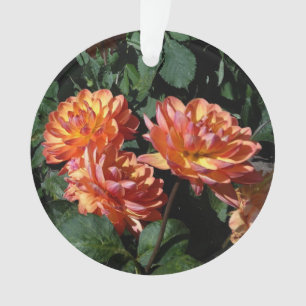Dahlia Pam Howden #1 Ornement