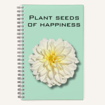 Dahlia Plante semences du Carnet du bonheur
