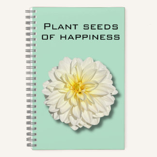 Dahlia Plante semences du Carnet du bonheur