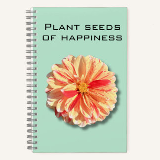 Dahlia Plante semences du Carnet du bonheur