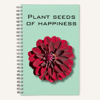 Dahlia Plante semences du Carnet du bonheur