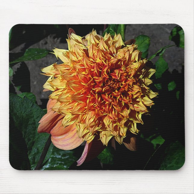 Dahlia Sandia Brocade #1 Mouse Pad Mousepad (Vorne)