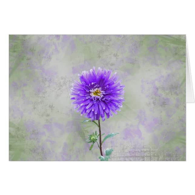 Dahlia simple (Devant Horizontal)