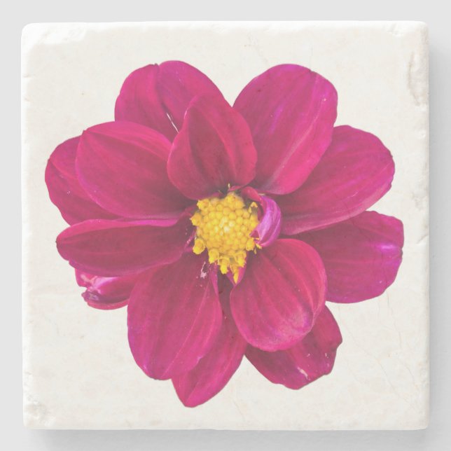 Dahlia Steinuntersetzer (Vorderseite)