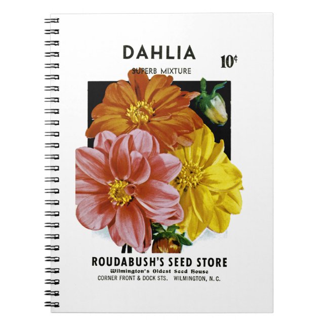 Dahlia Vintag Seed Packet Notizblock (Vorderseite)