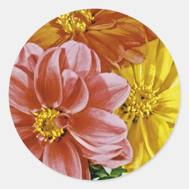 Dahlia Vintag Seed Packet Runder Aufkleber (Vorderseite)
