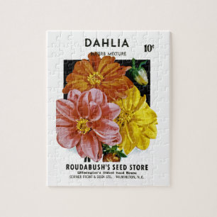 Dahlia-Vintage-Samenpaket