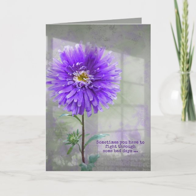 Dahlia Violet Dans La Carte Ombre Fenêtre (Devant)