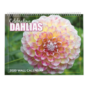 Dahlias 2020 : calendrier des murailles