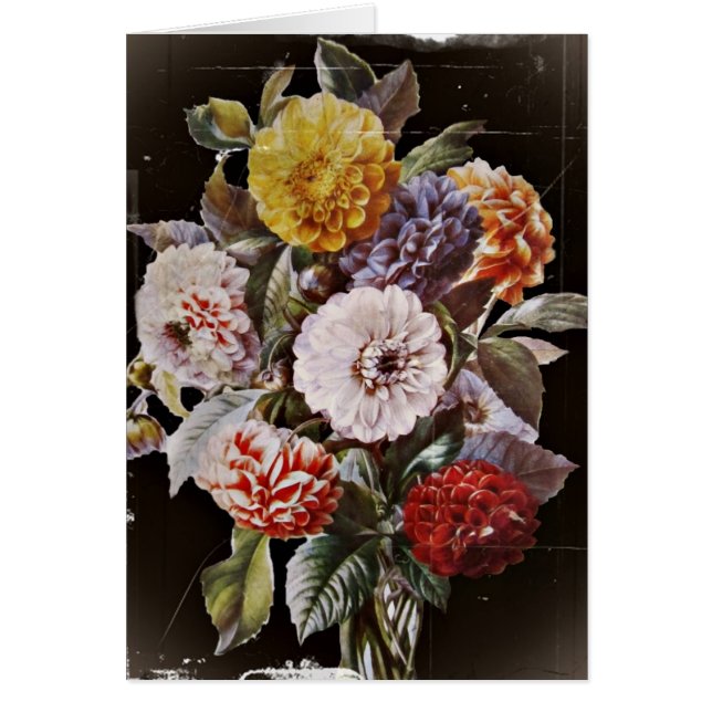 Dahlias Antique Bouquet (Vorne)