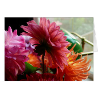 Dahlias (avec lampe)