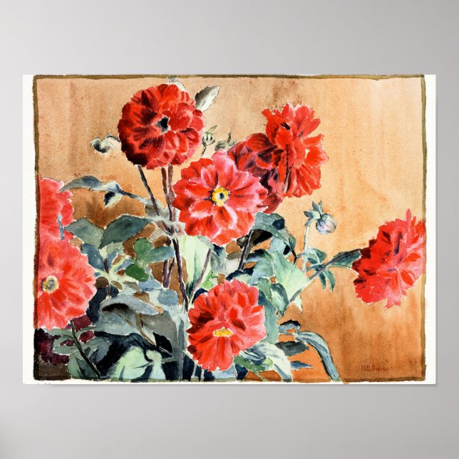 Dahlias, botanische Aquarellmalerei Poster (Vorne)