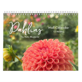 Dahlias Inspirativer Fotokalender Kalender