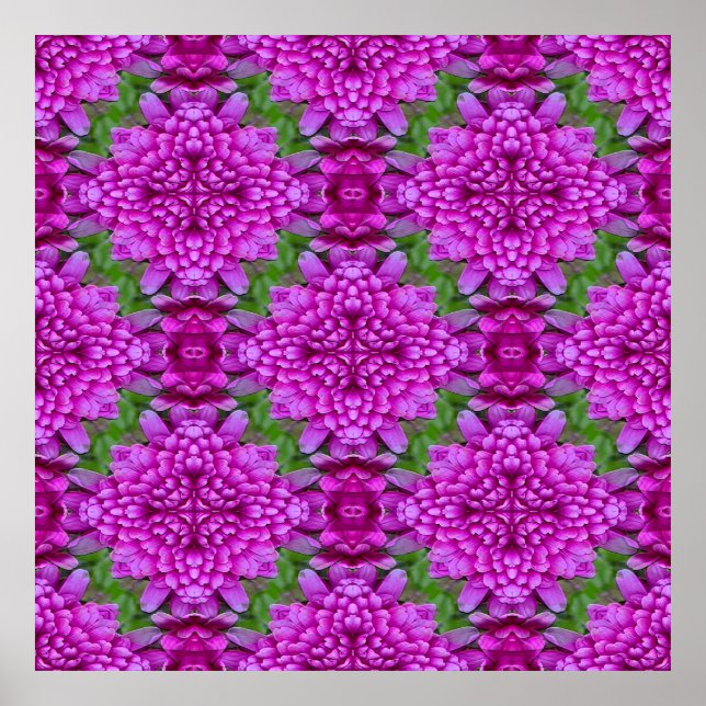 Dahlias.... Poster (Vorne)