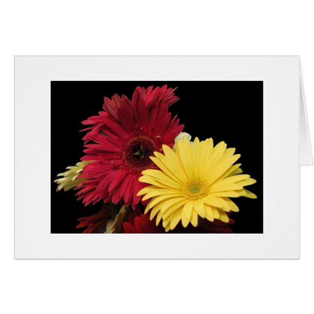 Dahlias rouges et jaunes" (Devant horizontal)