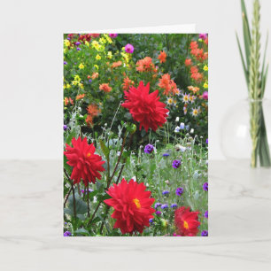 Dahlias zum Muttertag Karte