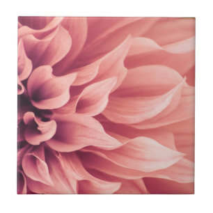Dahlie-Blumen-Blüte Fliese