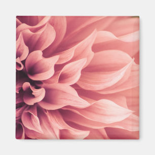 Dahlie-Blumen-Blüte Magnet