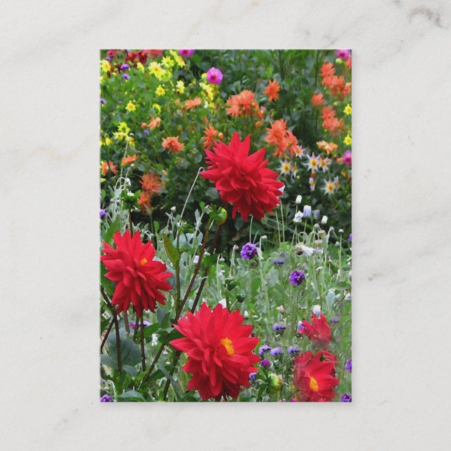 Dahlie-Garten ATC Visitenkarte (Vorderseite)