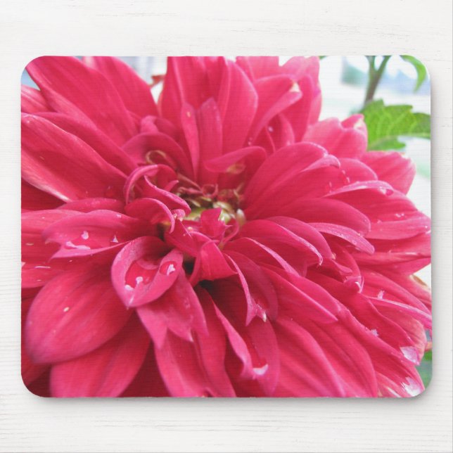 Dahlie Mousepad (Vorne)