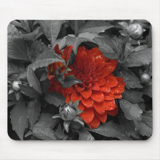 Dahlie-mousepad Mousepad (Vorne)
