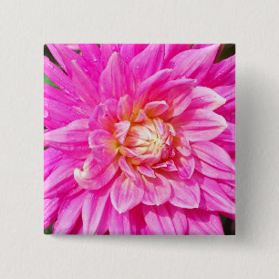 Dahlie-quadratischer Knopf Button