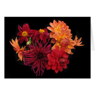 Dahlien