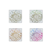 Dahlien-Blumen-Stein-Magnet-Set mit vier Teilen