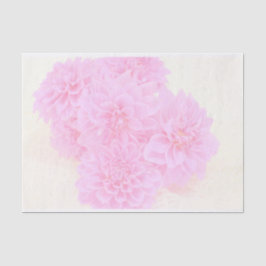 Dahlien in weichrosa seidenpapier