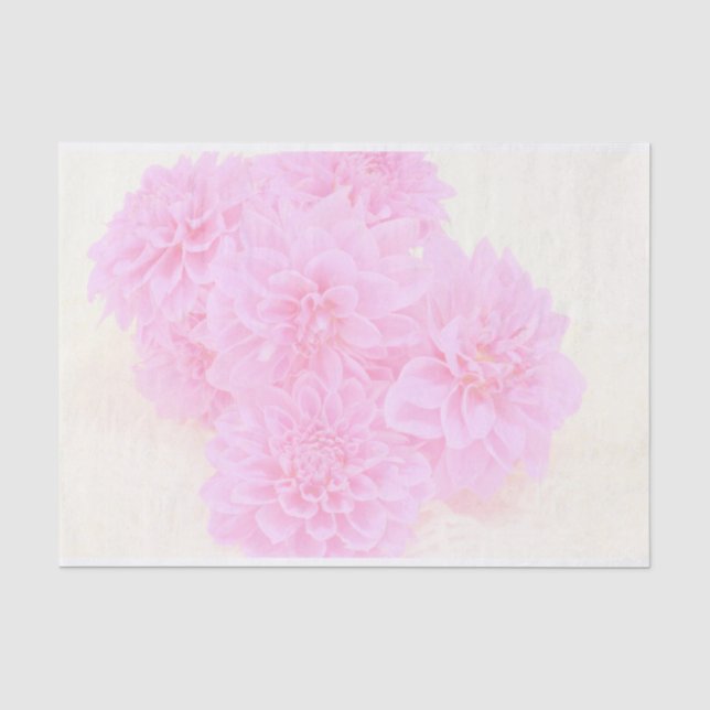 Dahlien in weichrosa seidenpapier (Vorderseite)