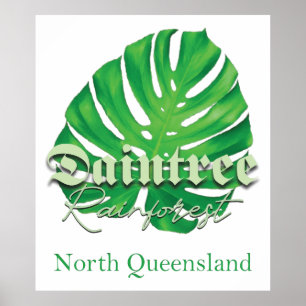 Daintree Rainforest Poster