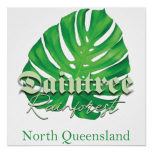 Daintree Rainforest Poster