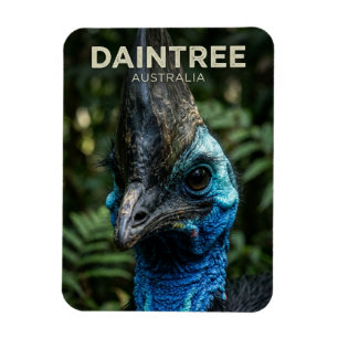 Daintree-Regenwald Australien Magnet