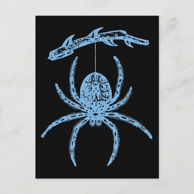 Dainty Blue Spider Postkarte (Vorderseite)
