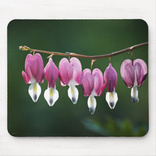 Dainty Hearts Mousepad (Vorne)