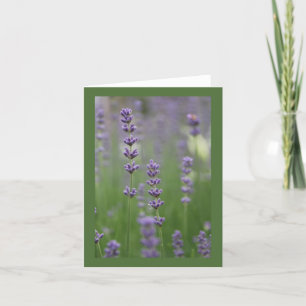 Dainty Lavender Dark Green Note Card Karte